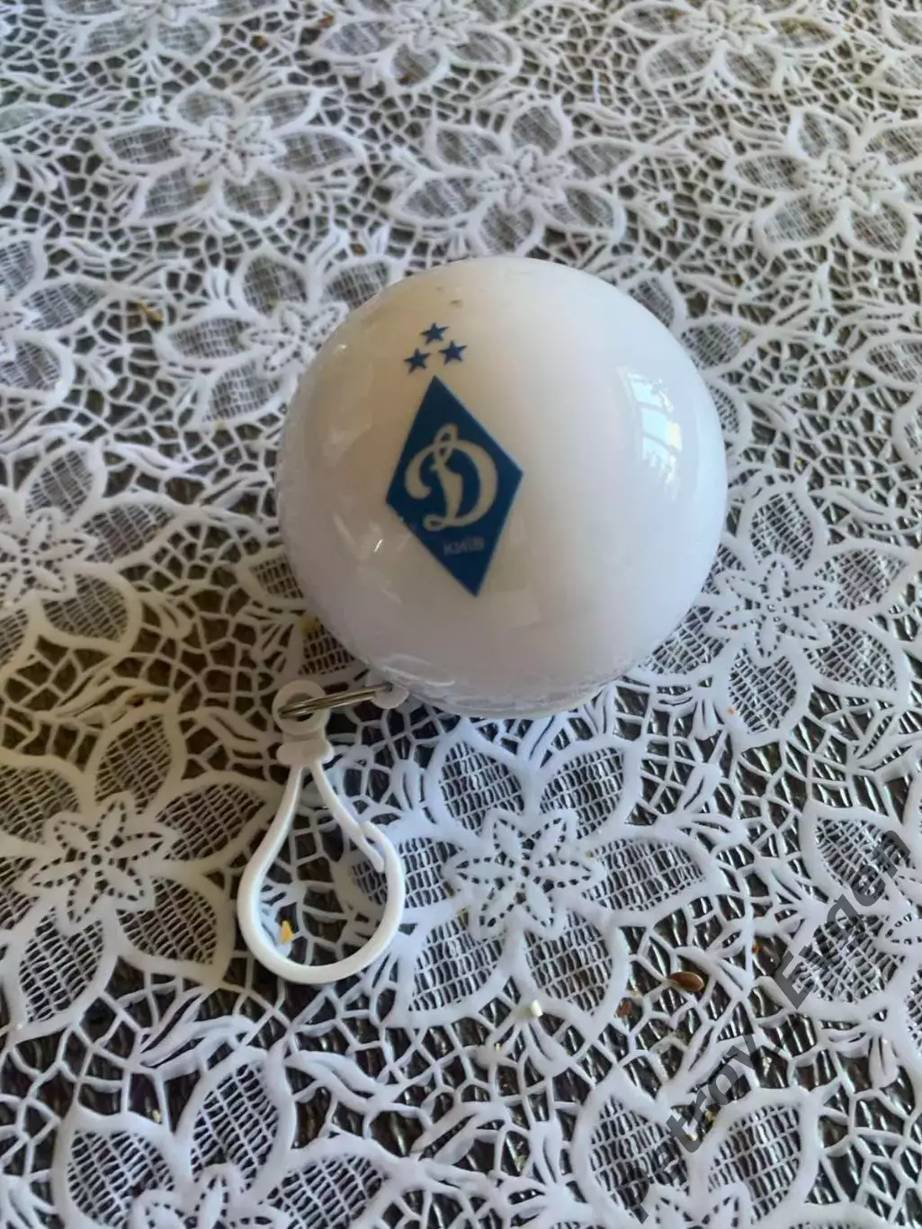 Плащь плюс футляр Динамо Киев.