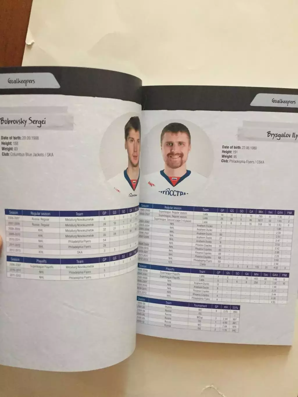 Гайд,хэндбук сб.России 2012-2013 2