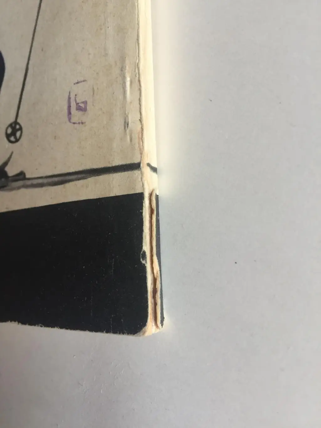 Н.Немухин Олимпийская лыжня 2