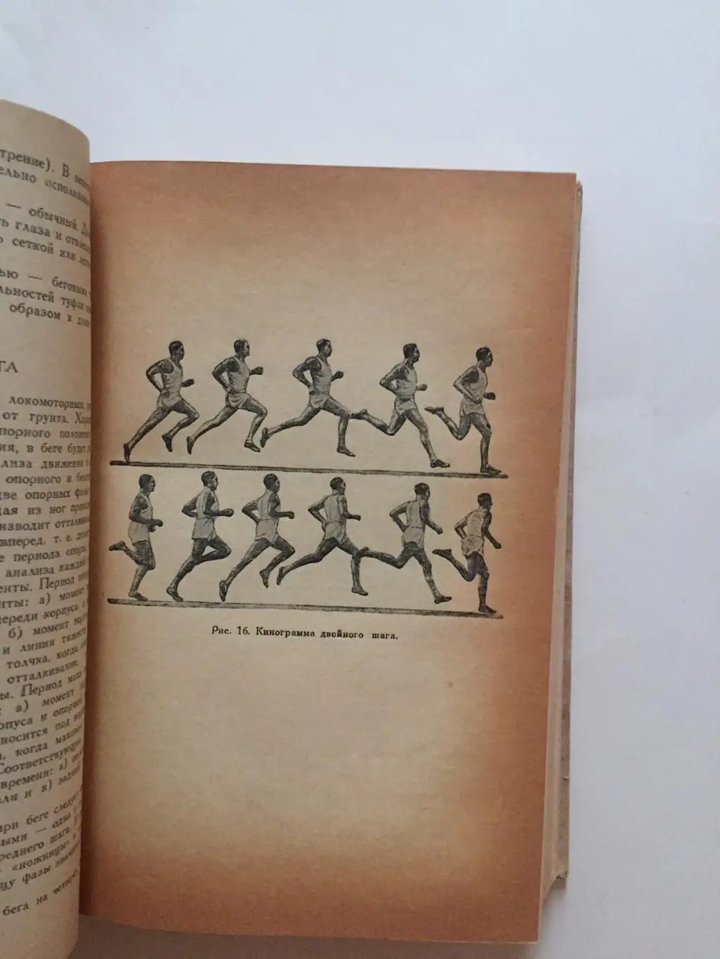 Легкая атлетика ФИС 1938 2