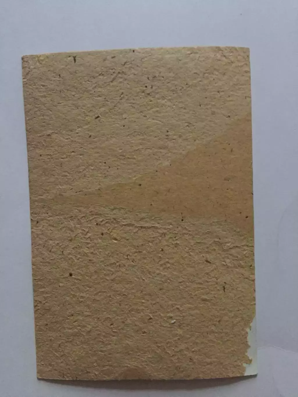 Фото Ф.Эспозито сборная Канада,НХЛ 1