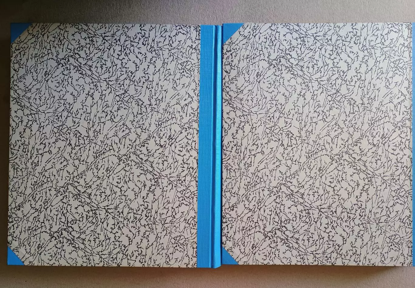 Журнал Стадион 1979 г. в 2-х книгах. 1