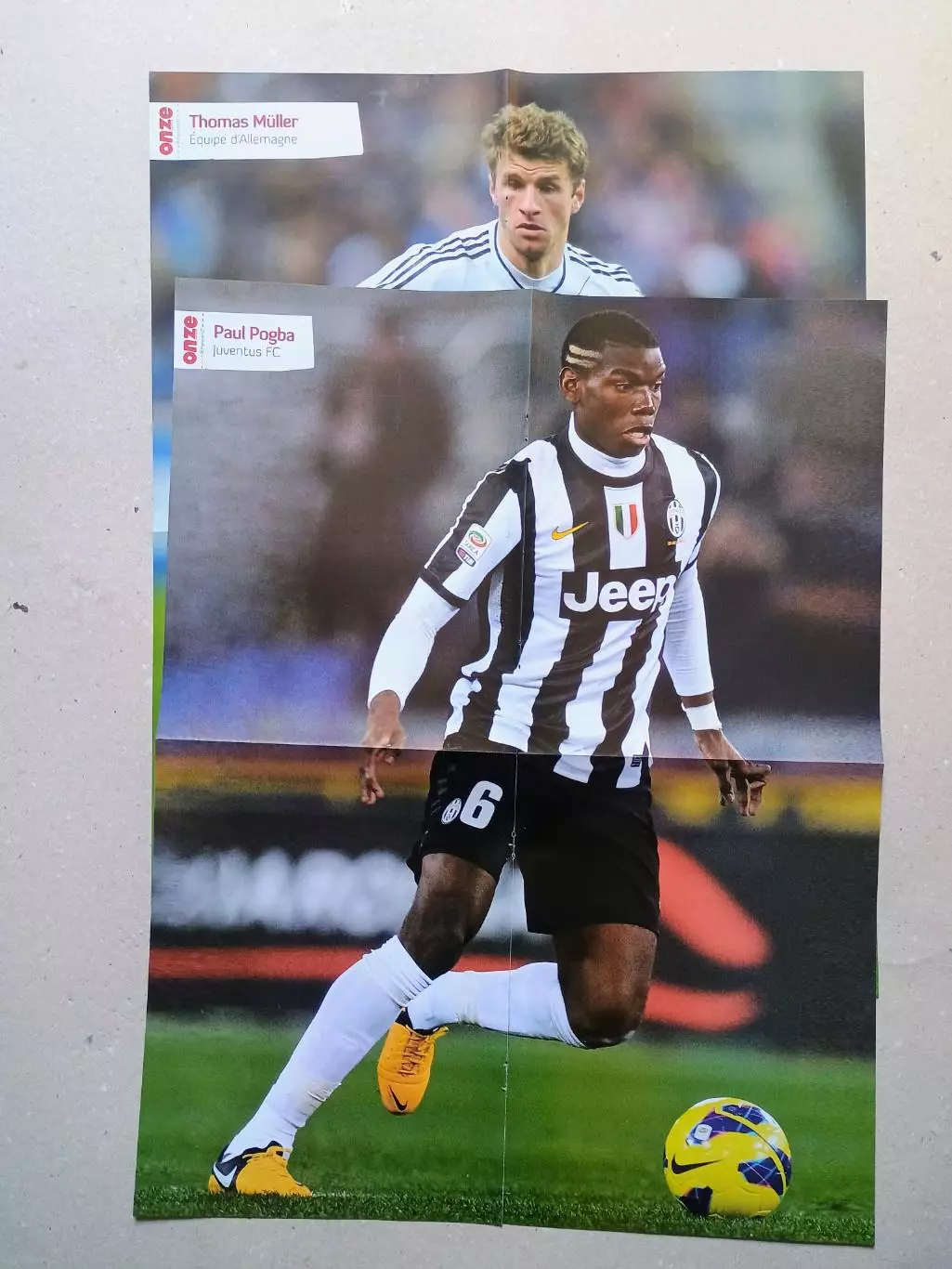 Onze mondial n.291/2013 1