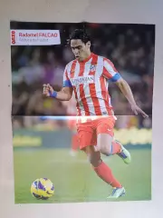 Poster A2- Falcao,Cabella