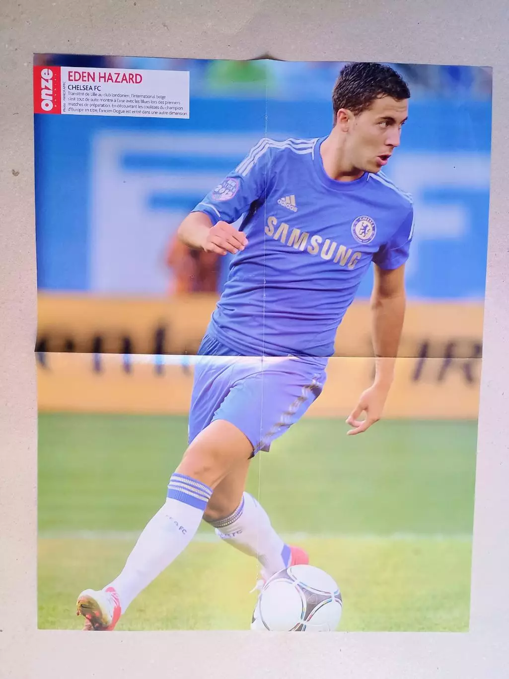 Poster A2- Hazard,Martin