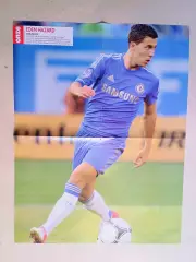 Poster A2- Hazard,Martin