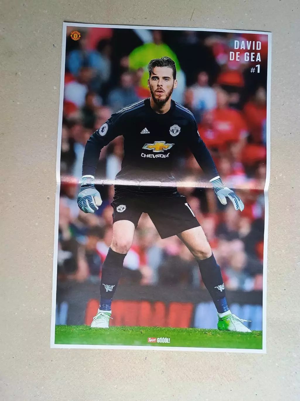 Poster A3- Lloris,De Gea 1