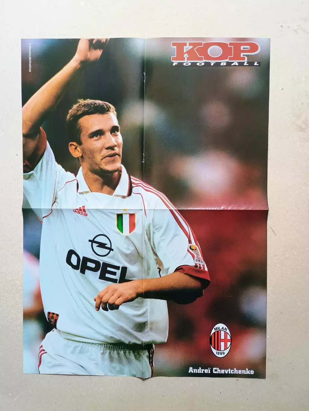 Poster A2- Sevcenko,Ravanelli