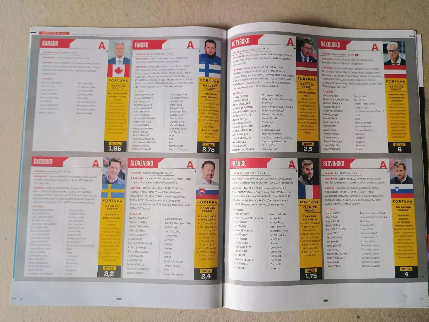 Sport magazin - Руководство по Чемпионату мира по хоккею 2025 года 6