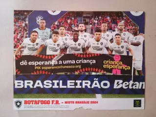 Плакат А4- Botafogo