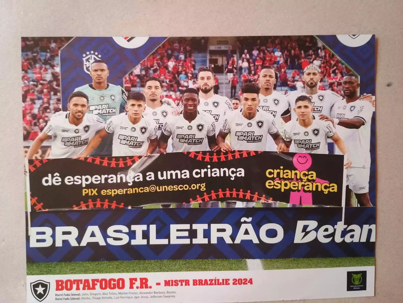 Плакат А4- Botafogo