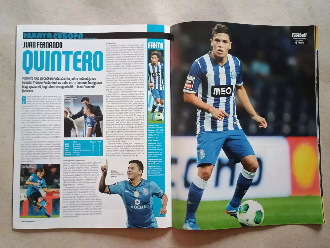 Pro Football 11/2013 1