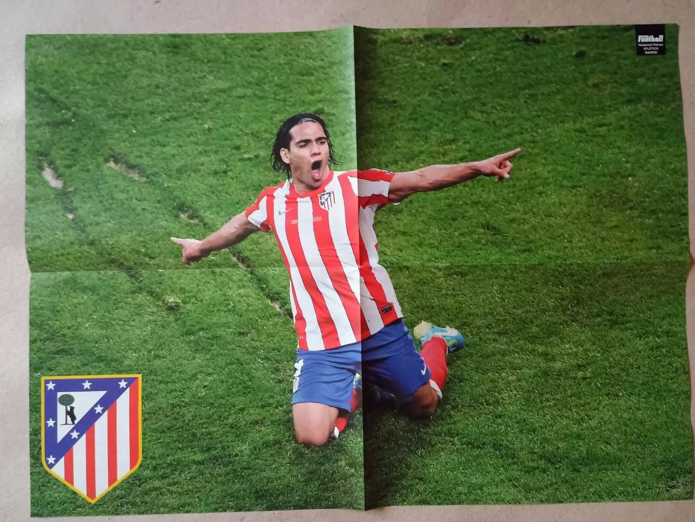 Pro Football 1/2013 1