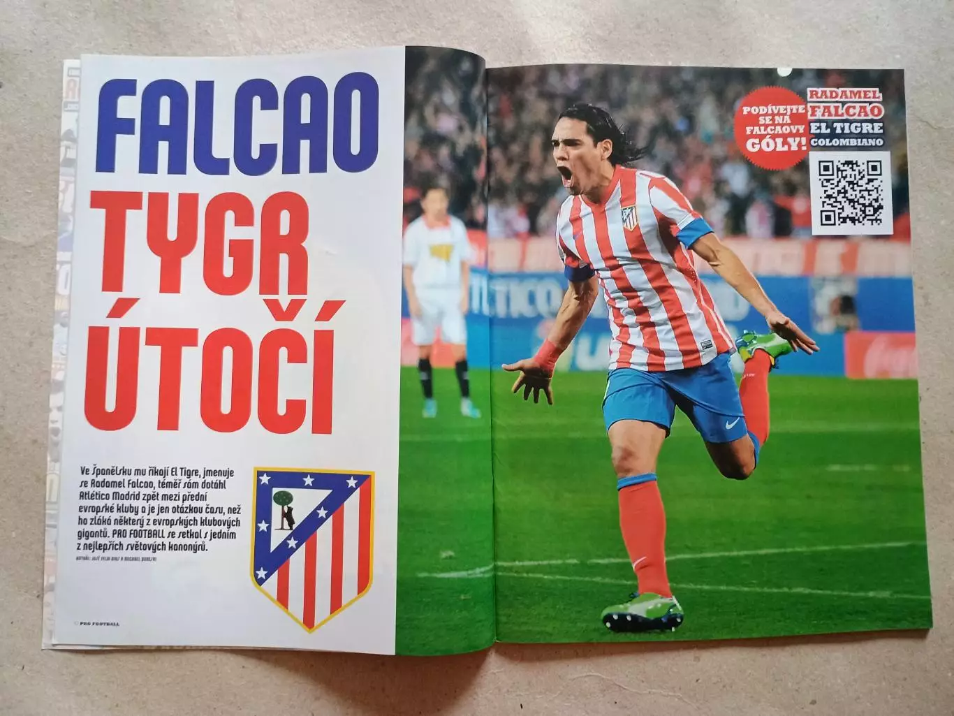 Pro Football 1/2013 5