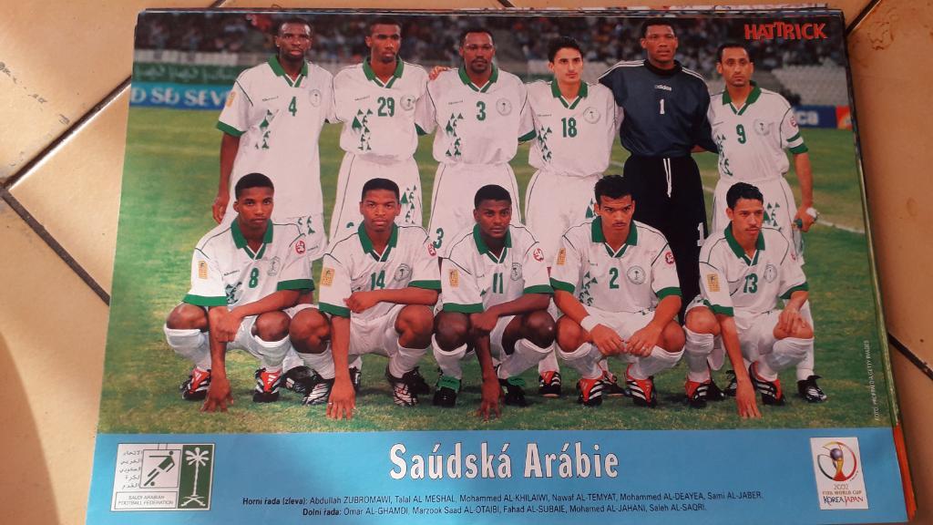 Saudska Arabie, WC 2002