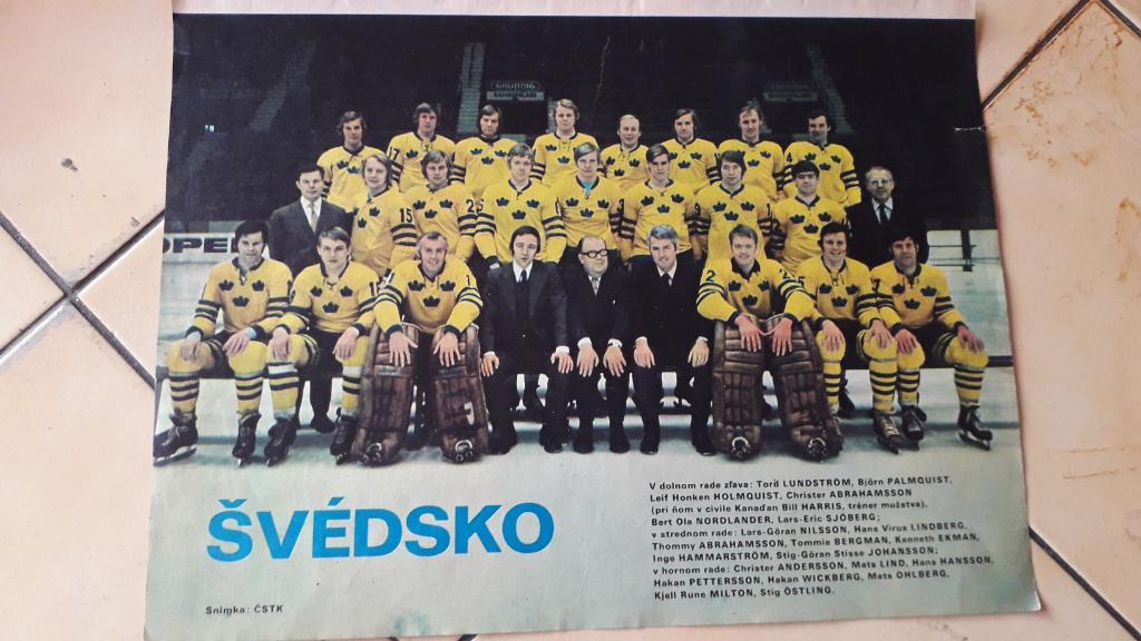 Хоккейная команда Svedsko