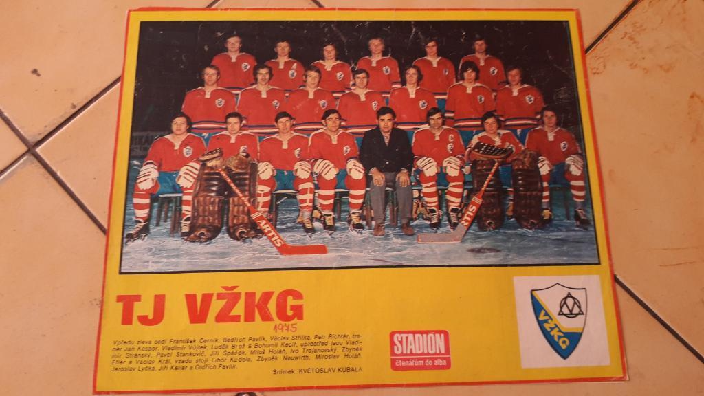 Хоккейная команда TJ Vitkovice.