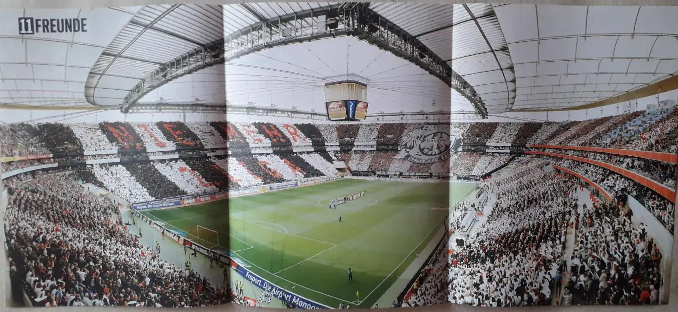 Wald Stadion Frankfurt