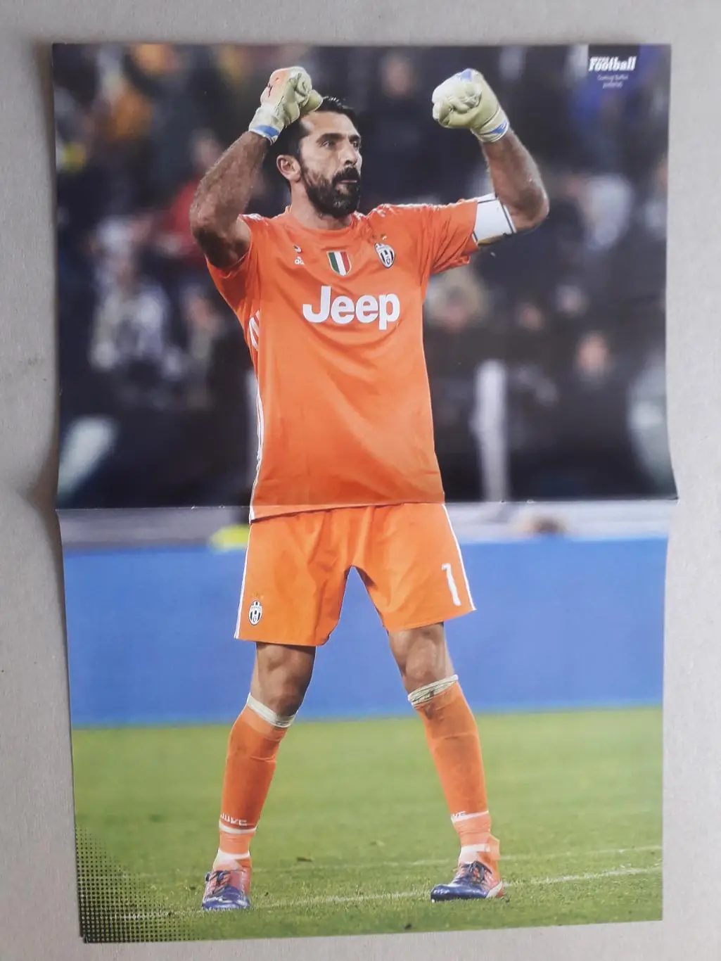 Плакат A3- Buffon, Ozil