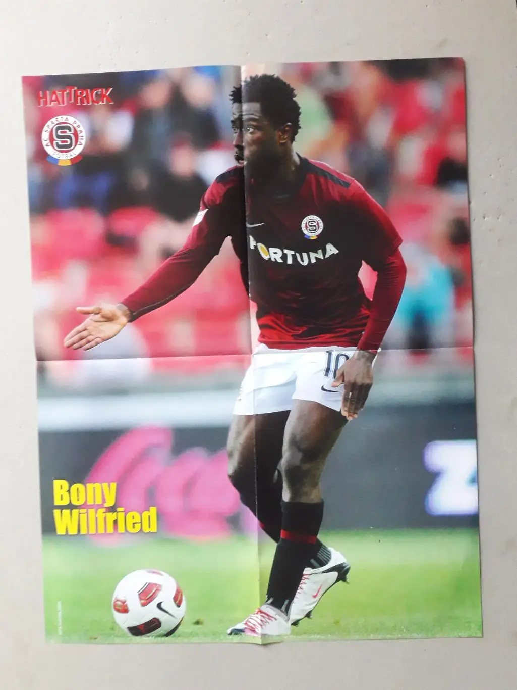 Плакат A2- Villa, Wilfried 1