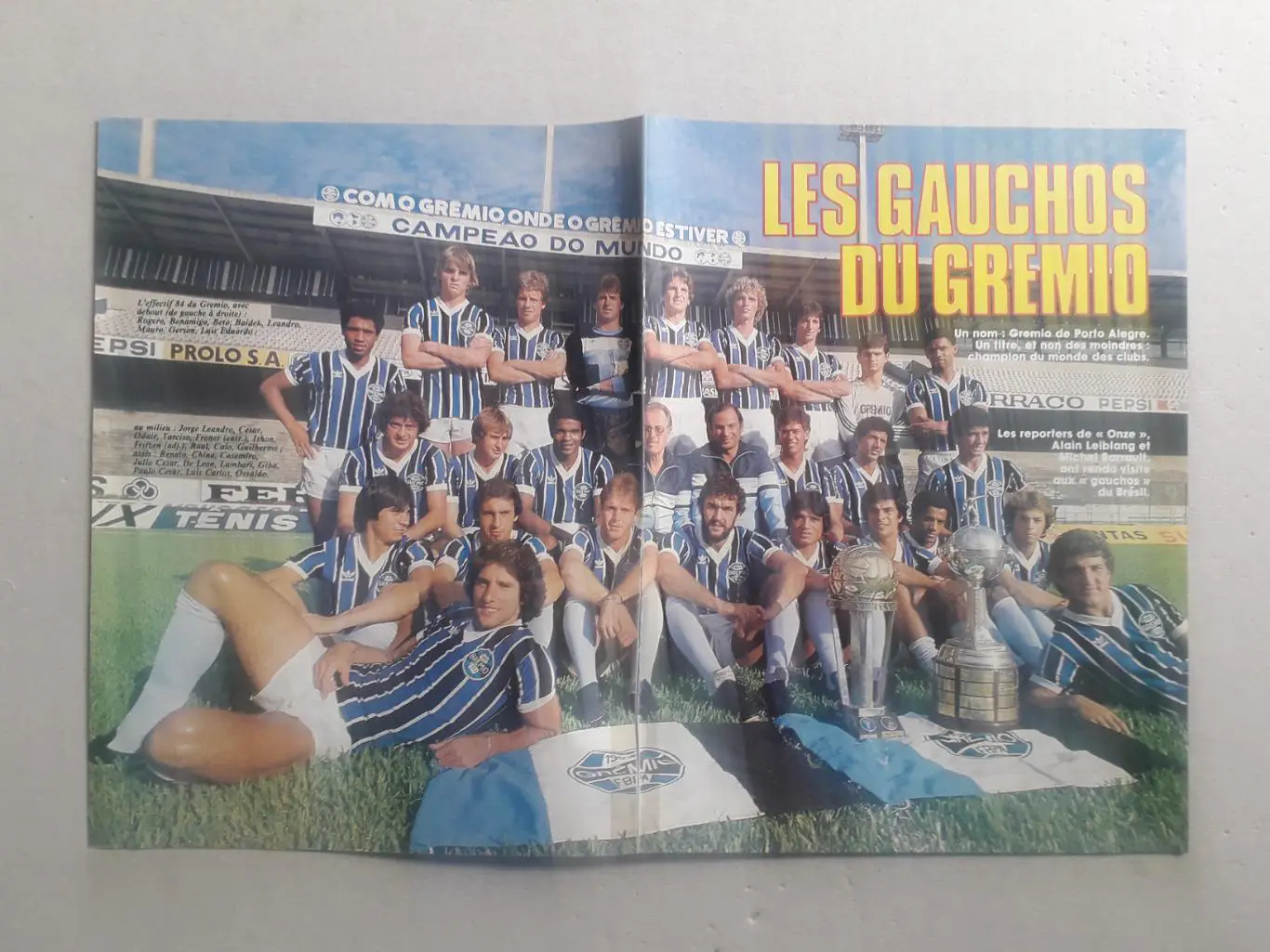 Постер A3- Gremio