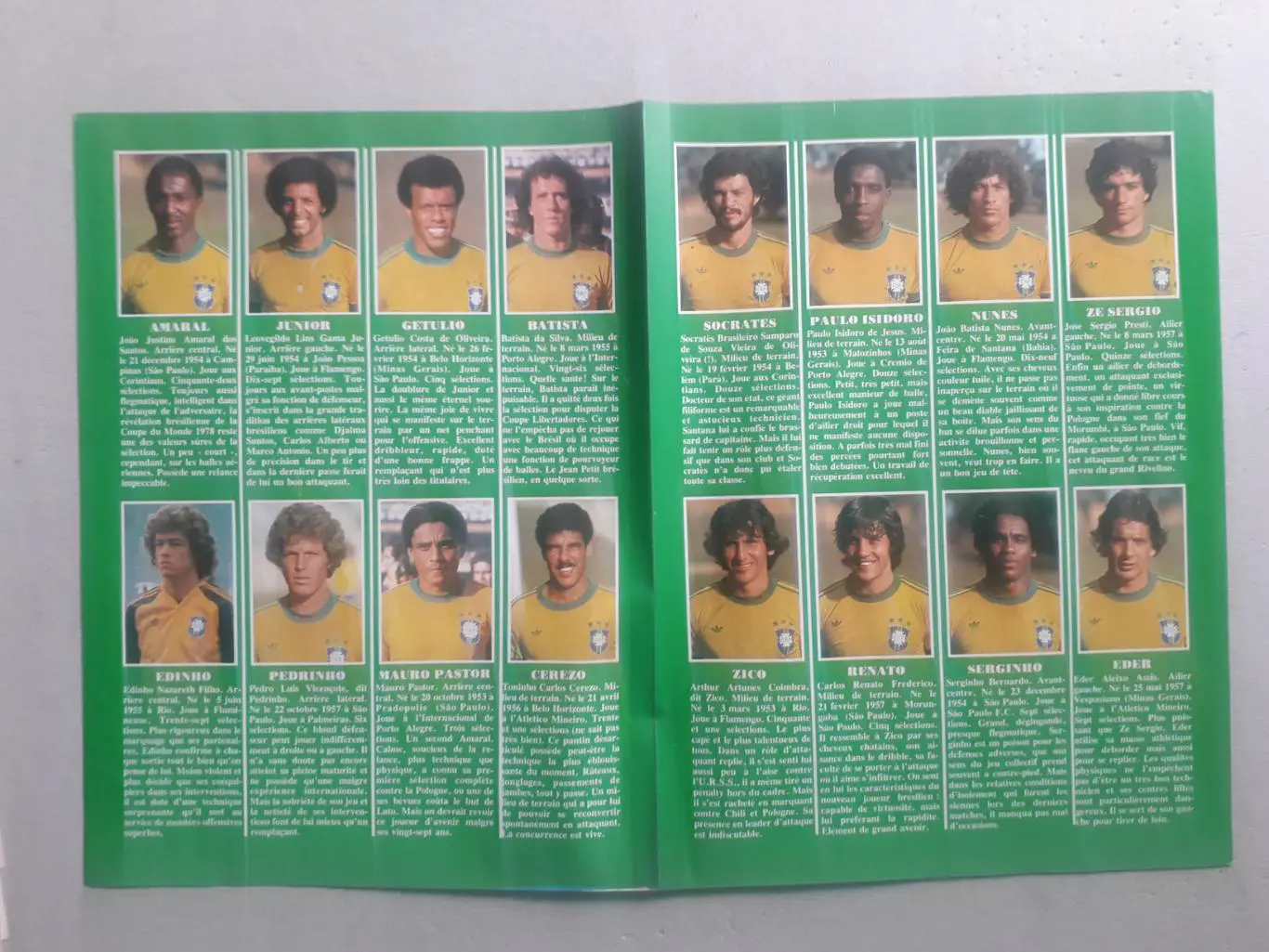 Постер A3 - Brazil