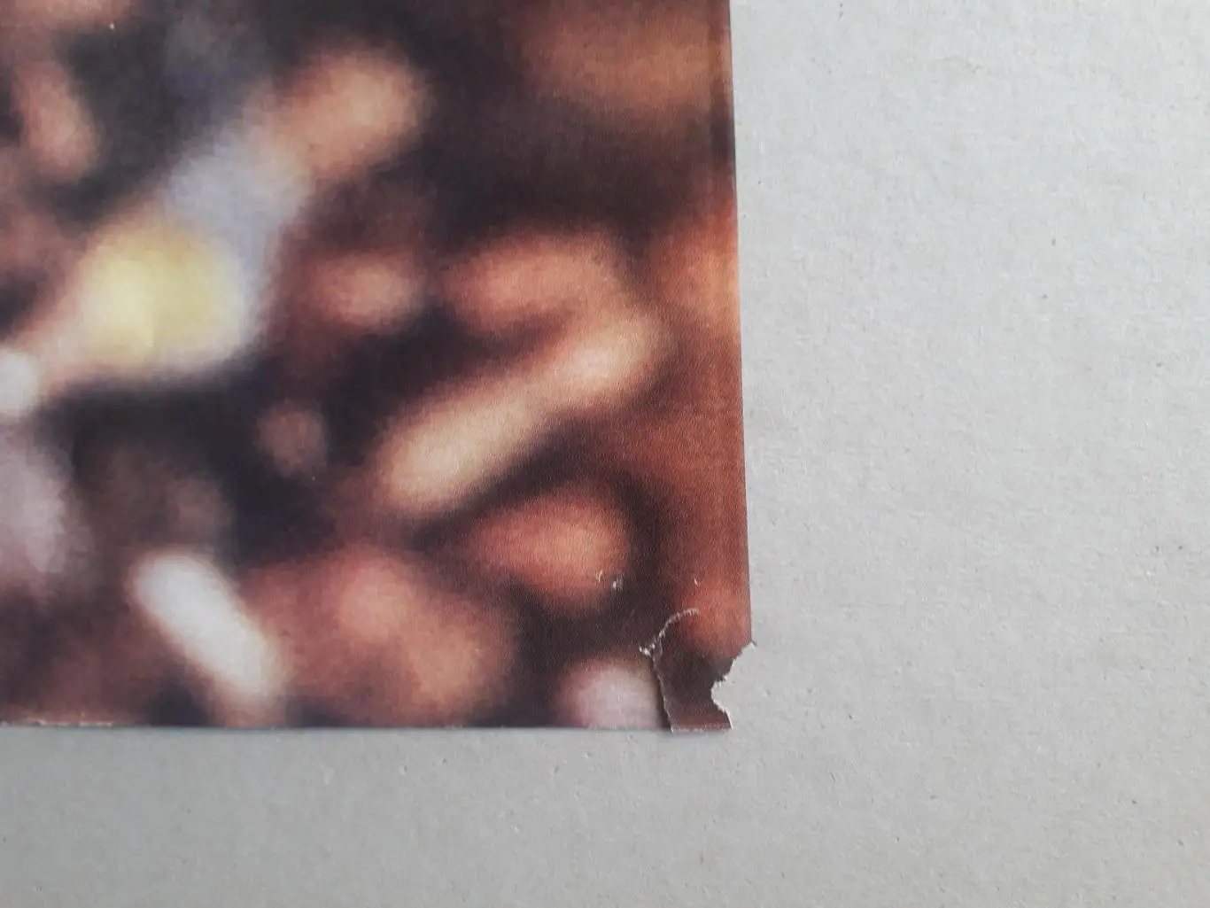 Mondial n°21 - полный 3