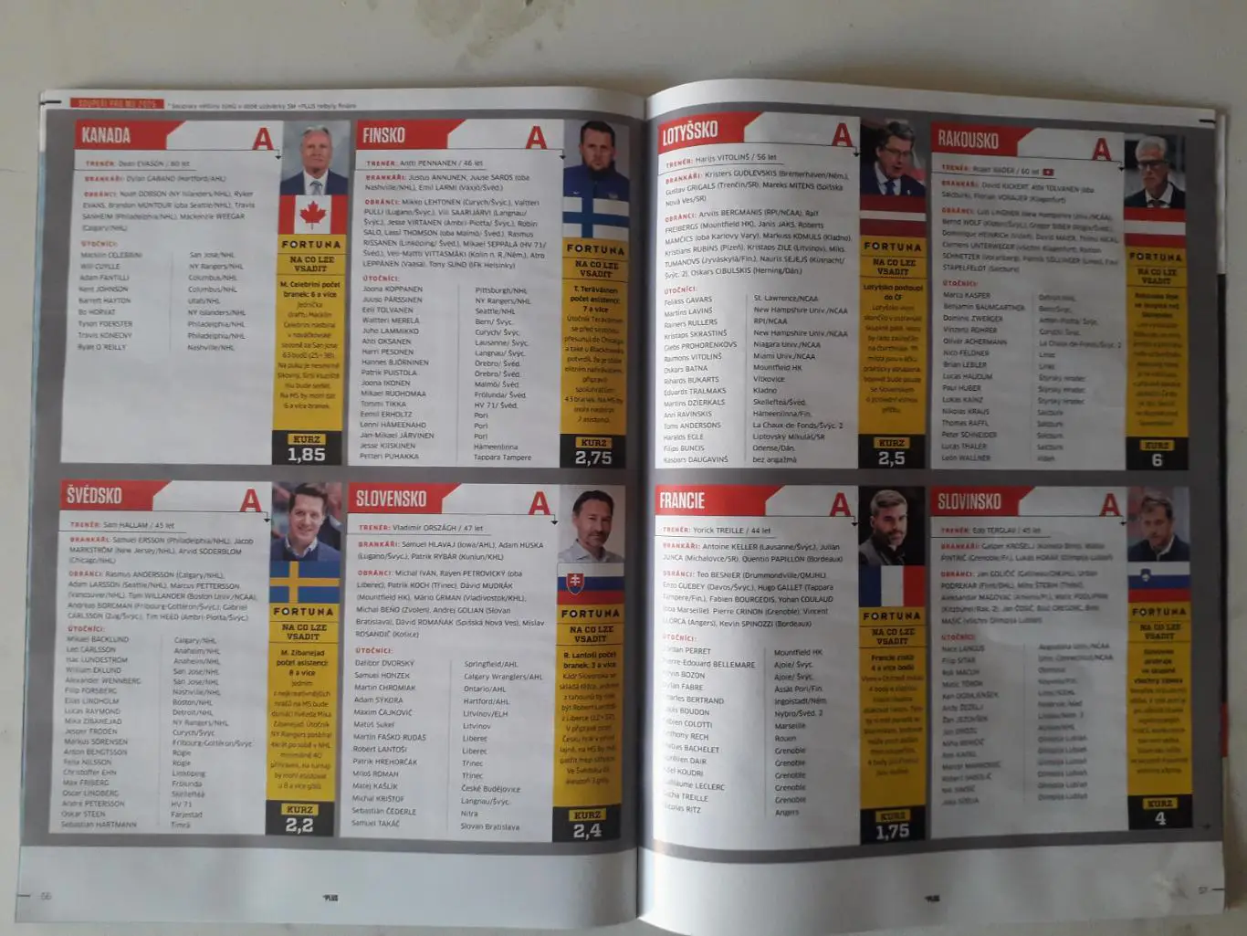 Чемпионат мира по хоккею 2025 года 4