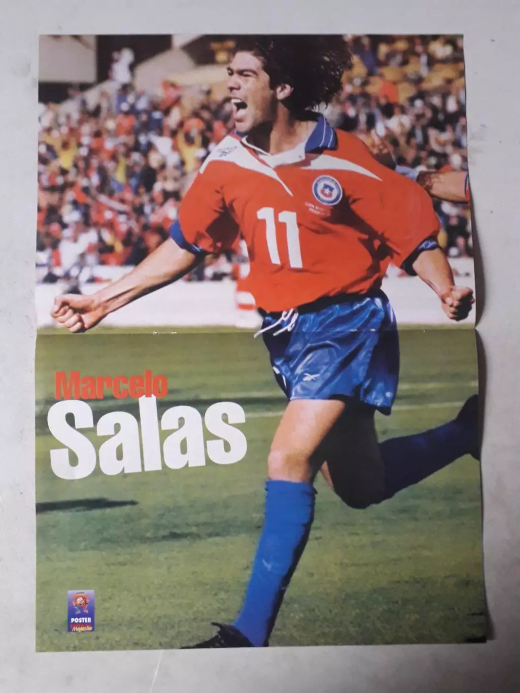 Постер A3- Salas