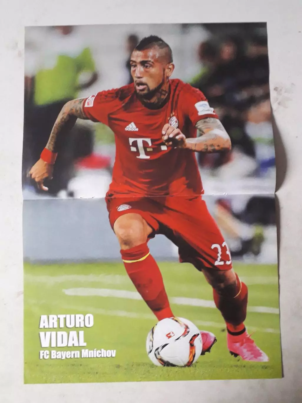 Постер A3- Vidal