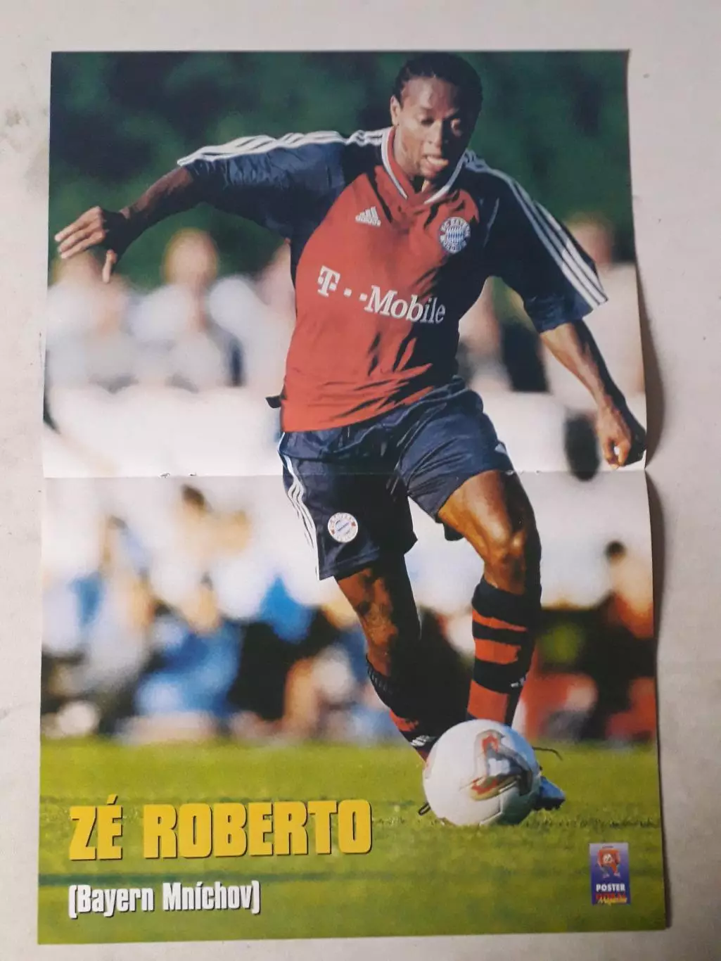 Постер A3- Ze Roberto
