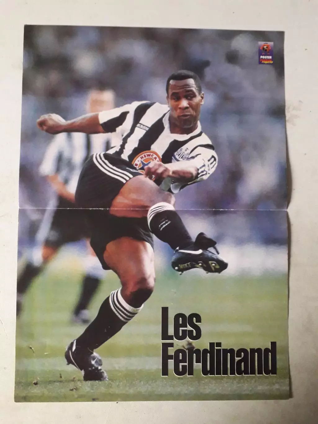 Постер A3- Ferdinand