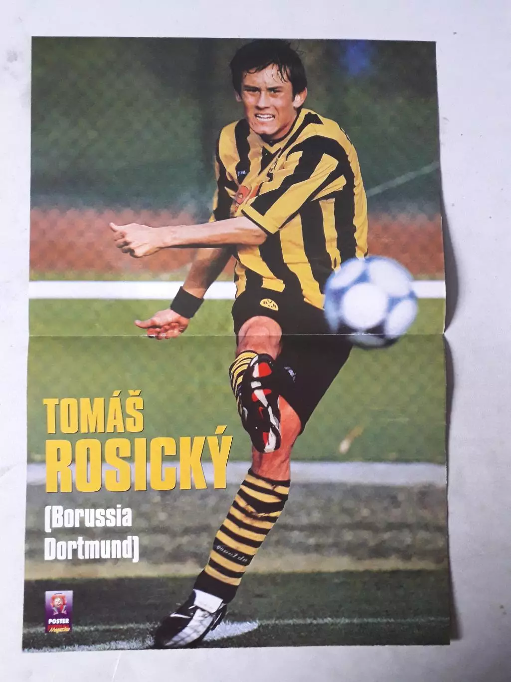 Постер A3- Rosicky