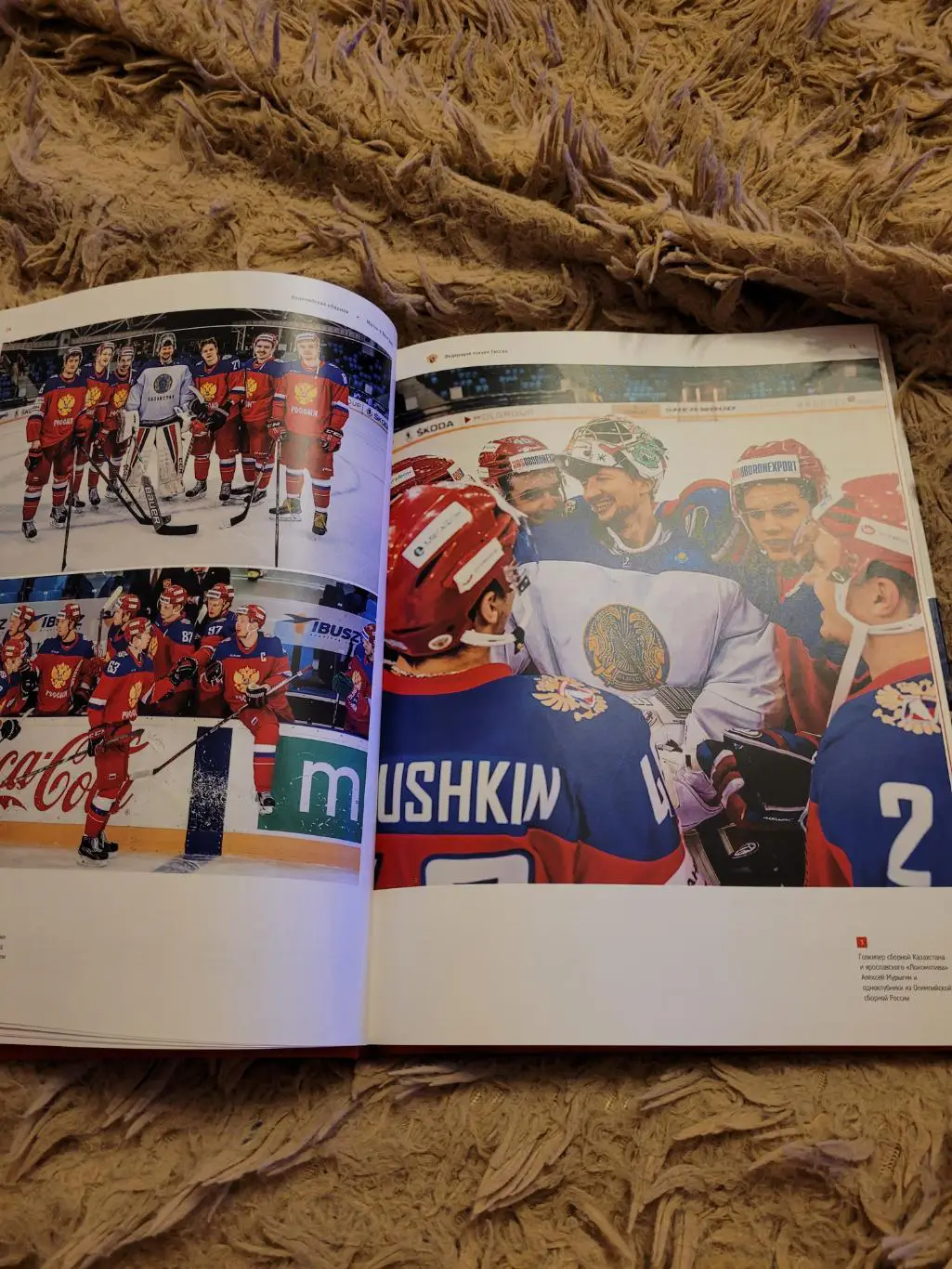 Олимпийские чемпионы хоккей 5