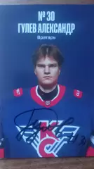 Александр Гулев Крылья Советов