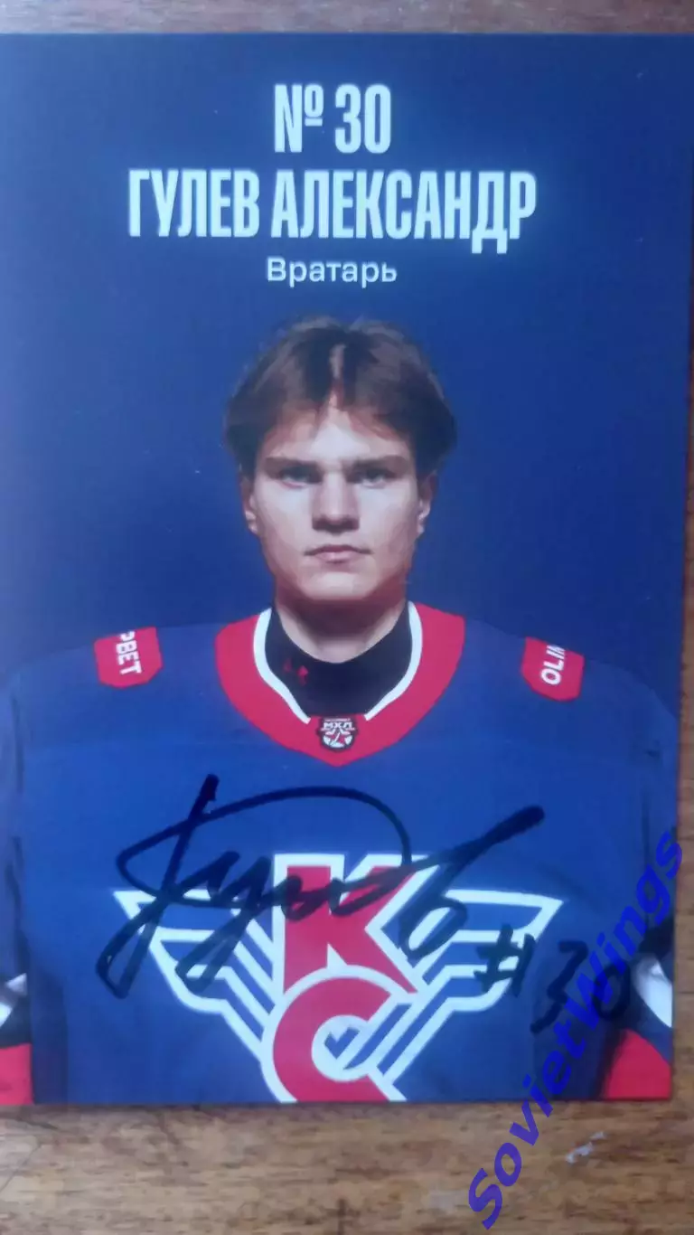 Александр Гулев Крылья Советов