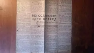 Без остановки идти вперед. Кубок Канады 1981
