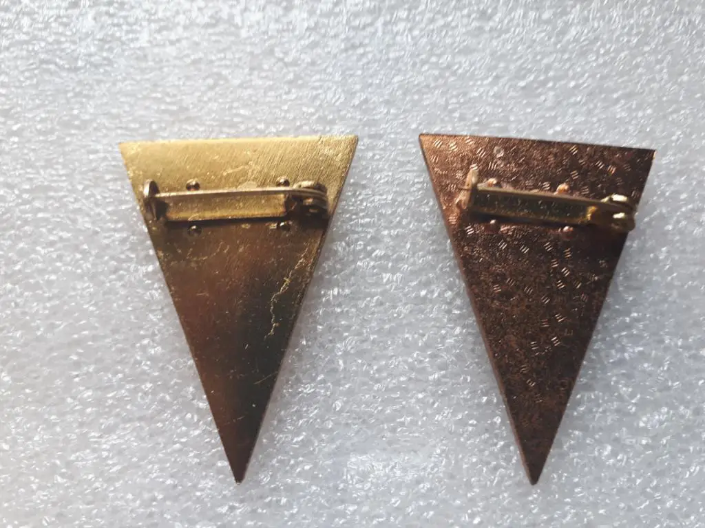 Знак выпускника Высшей школы МГБ ГДР (штази) белый и синий. 1