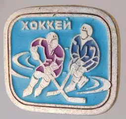 Хоккей. Видовой