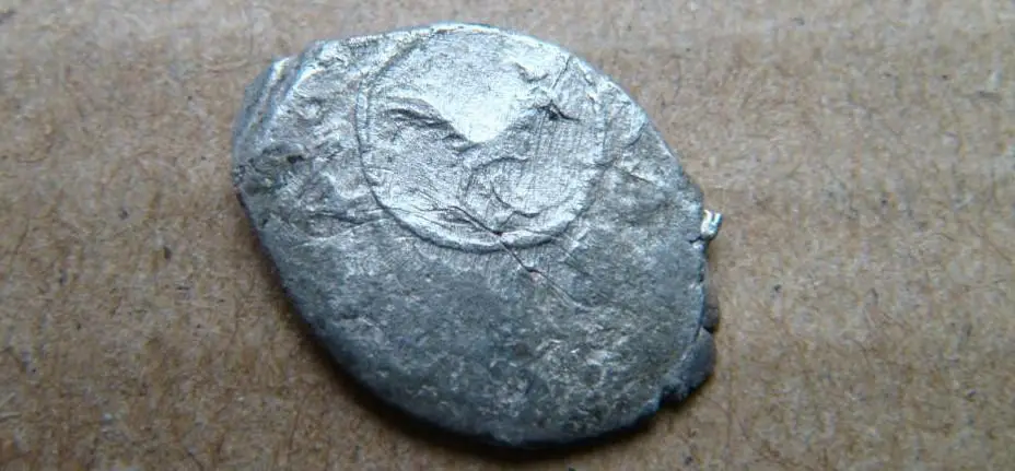 №14. ЧЕШУЯ Даниил Борисович (1423-1429), петух/ князь на троне с чашей и мечом 1