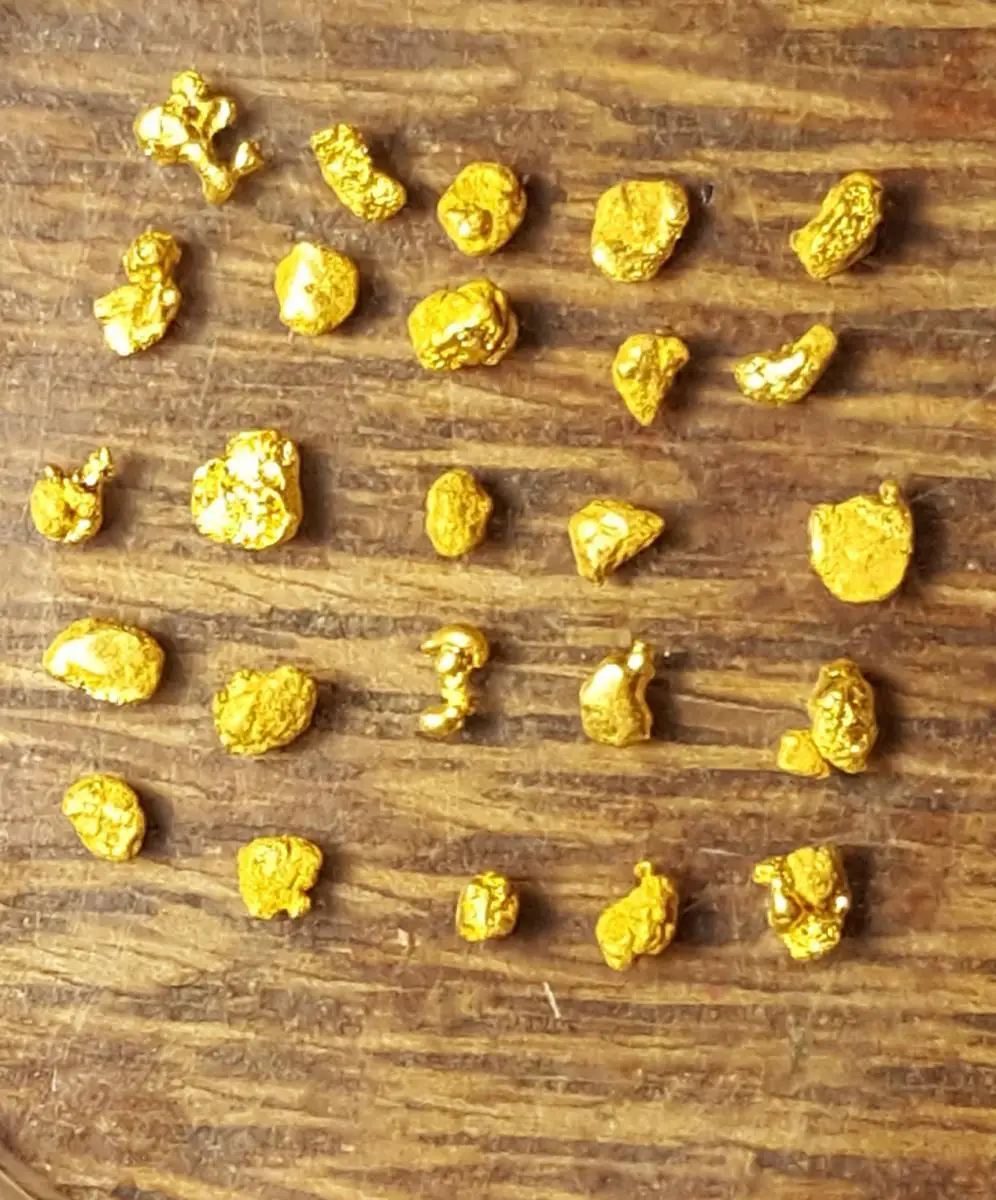 ЗОЛОТЫЕ ЗНАКИ ЗОЛОТОЙ САМОРОДОК - В КОЛЛЕКЦИЮ. №15