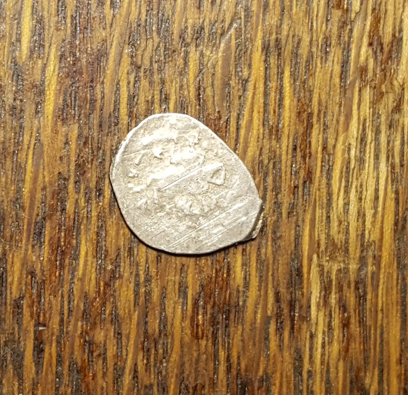 ЧешуяУдельная монетаВеликое Княжество. Князь Василий Васильевич, Сирена 1