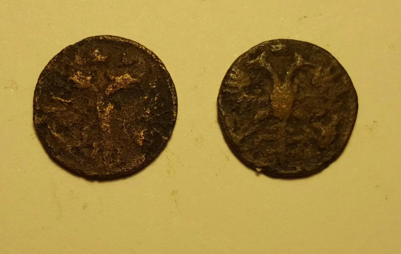 ДВЕ .ПЕТРОВСКИЕ ПОЛУШКИ РАЗНЫЕ ГОДА. РЕДКИЕ 1