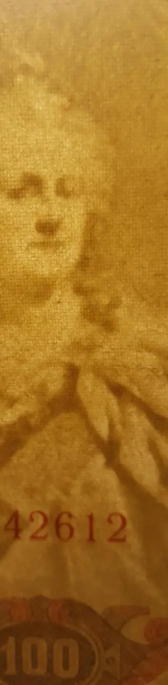 Банкнот 100 рублей Шипов - Метц серия КЛ Выпуск Временного Правительства ЦАРСК 2