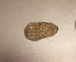 Чешуя Удельная денга , князь Василий Темный !! Редкость