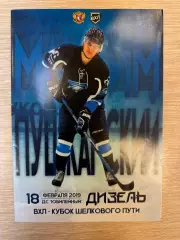 Буран Воронеж - Дизель Пенза 2018 / 2019