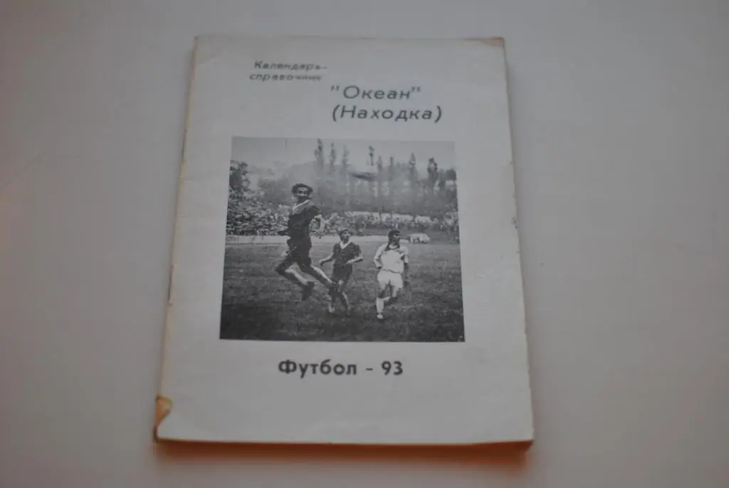 Находка 1993