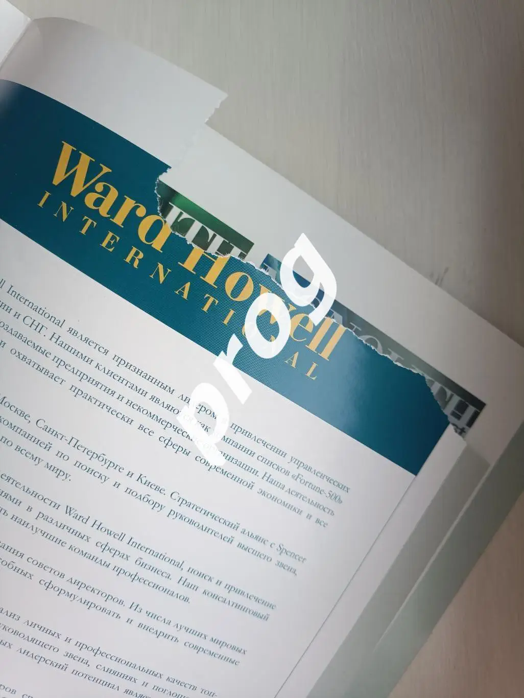 Международный фестиваль искусств Звездный 2006 Щелково 2