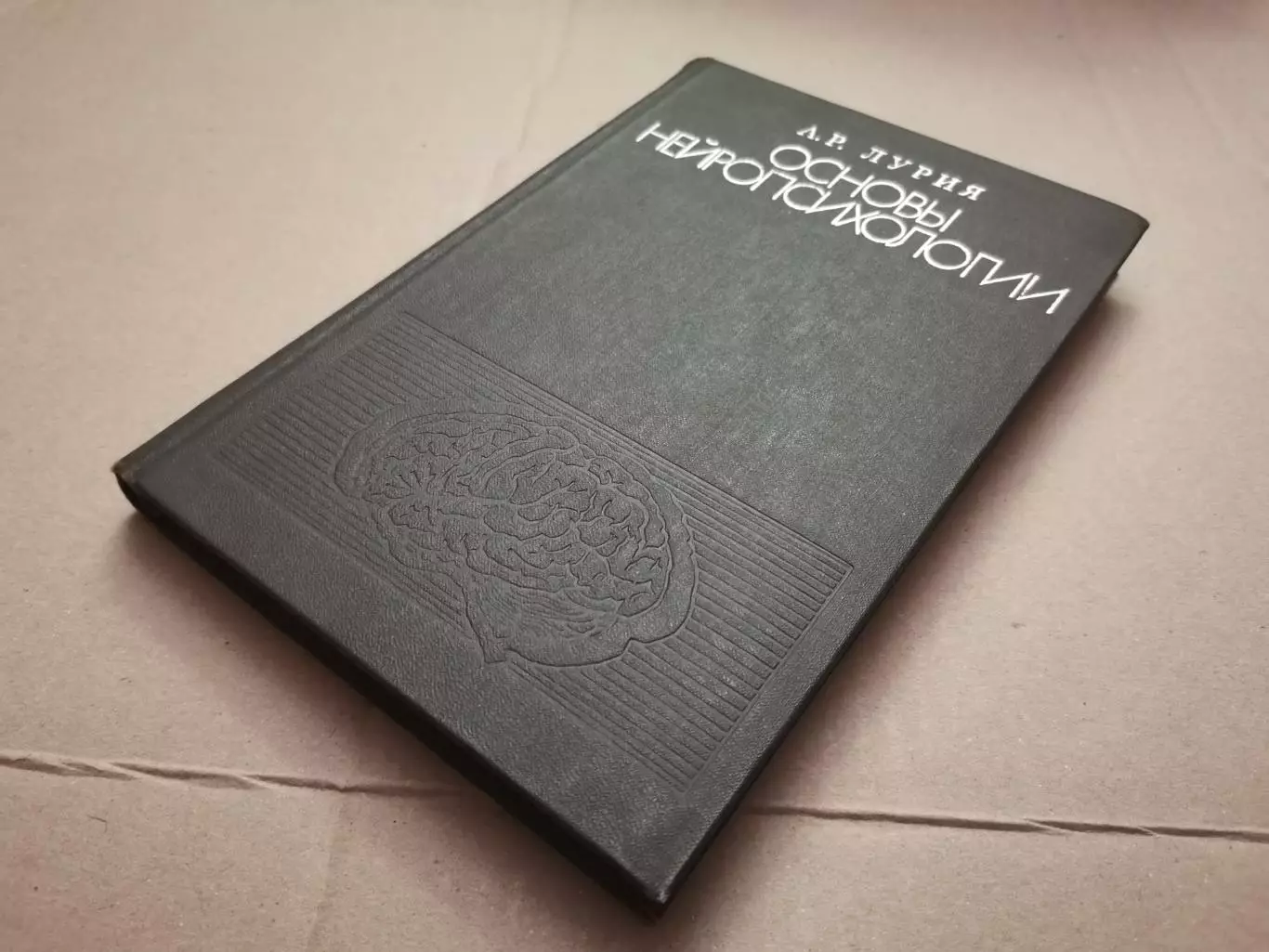 Основы нейропсихологии. А. Р. Лурия 7
