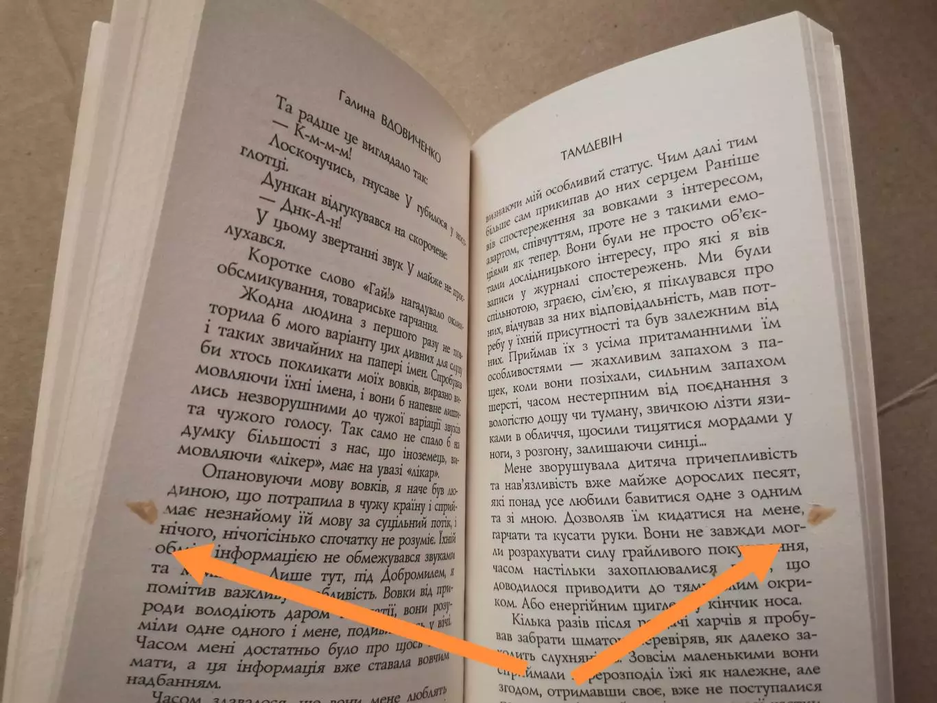 Тамдевін. Галина Вдовиченко 7